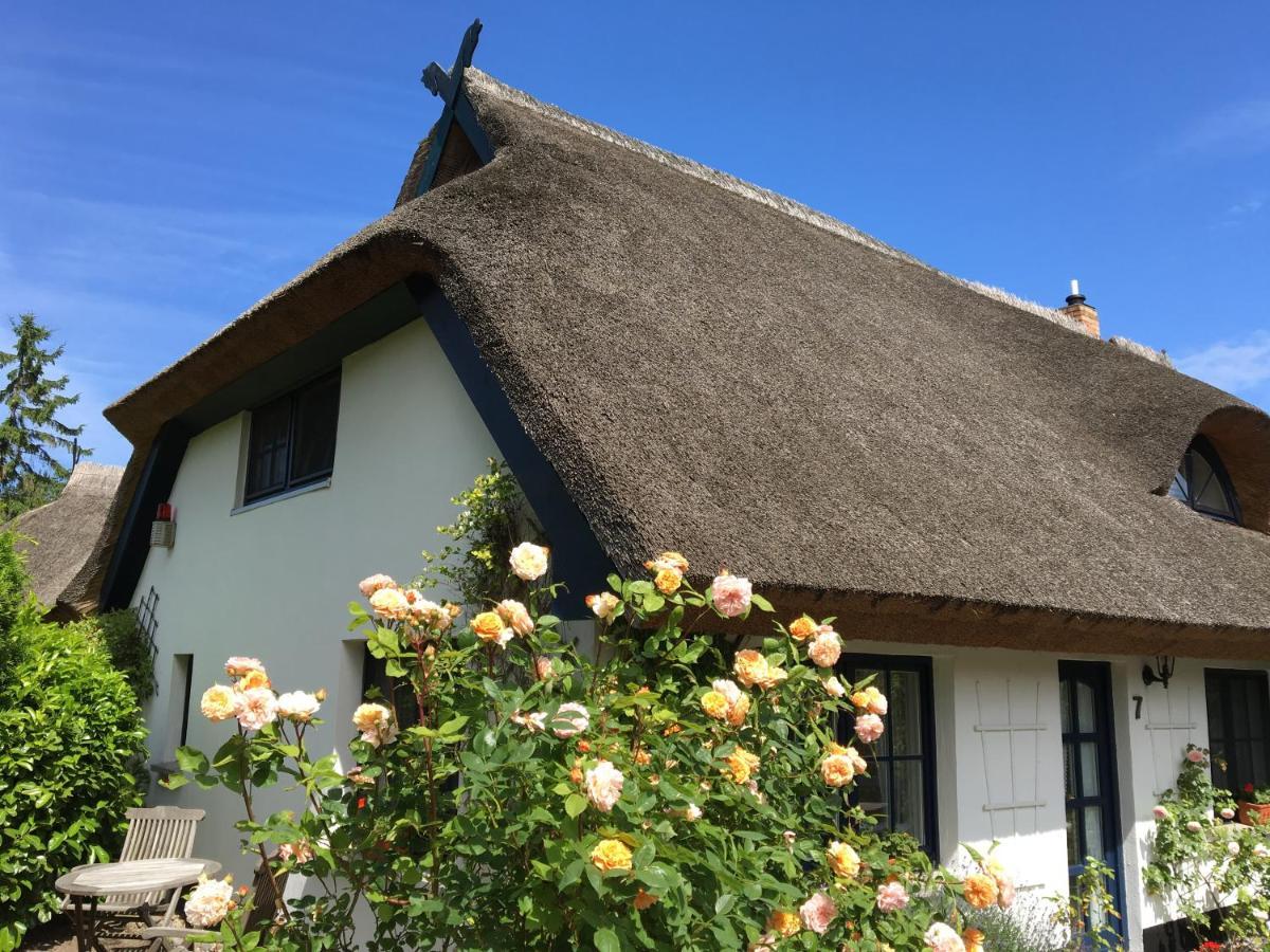 Landhaus Darss Wieck Exteriér fotografie