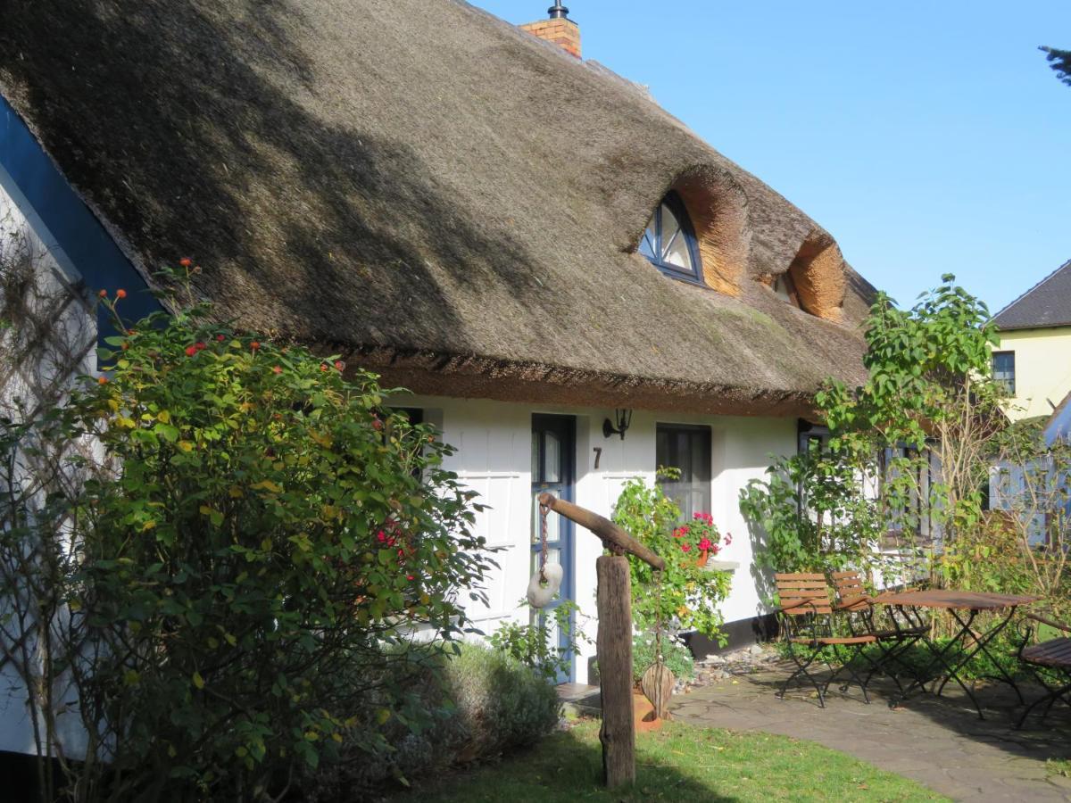 Landhaus Darss Wieck Exteriér fotografie