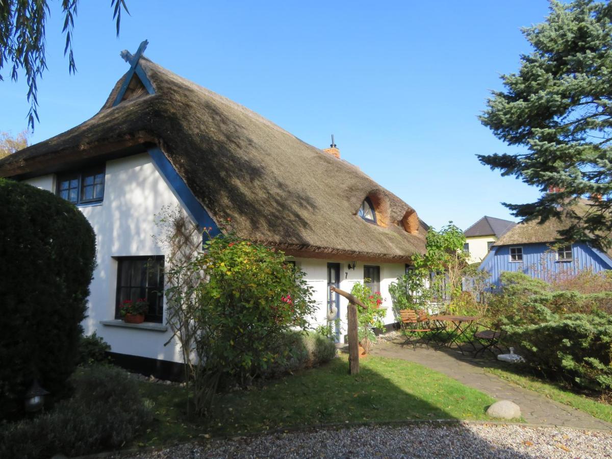 Landhaus Darss Wieck Exteriér fotografie