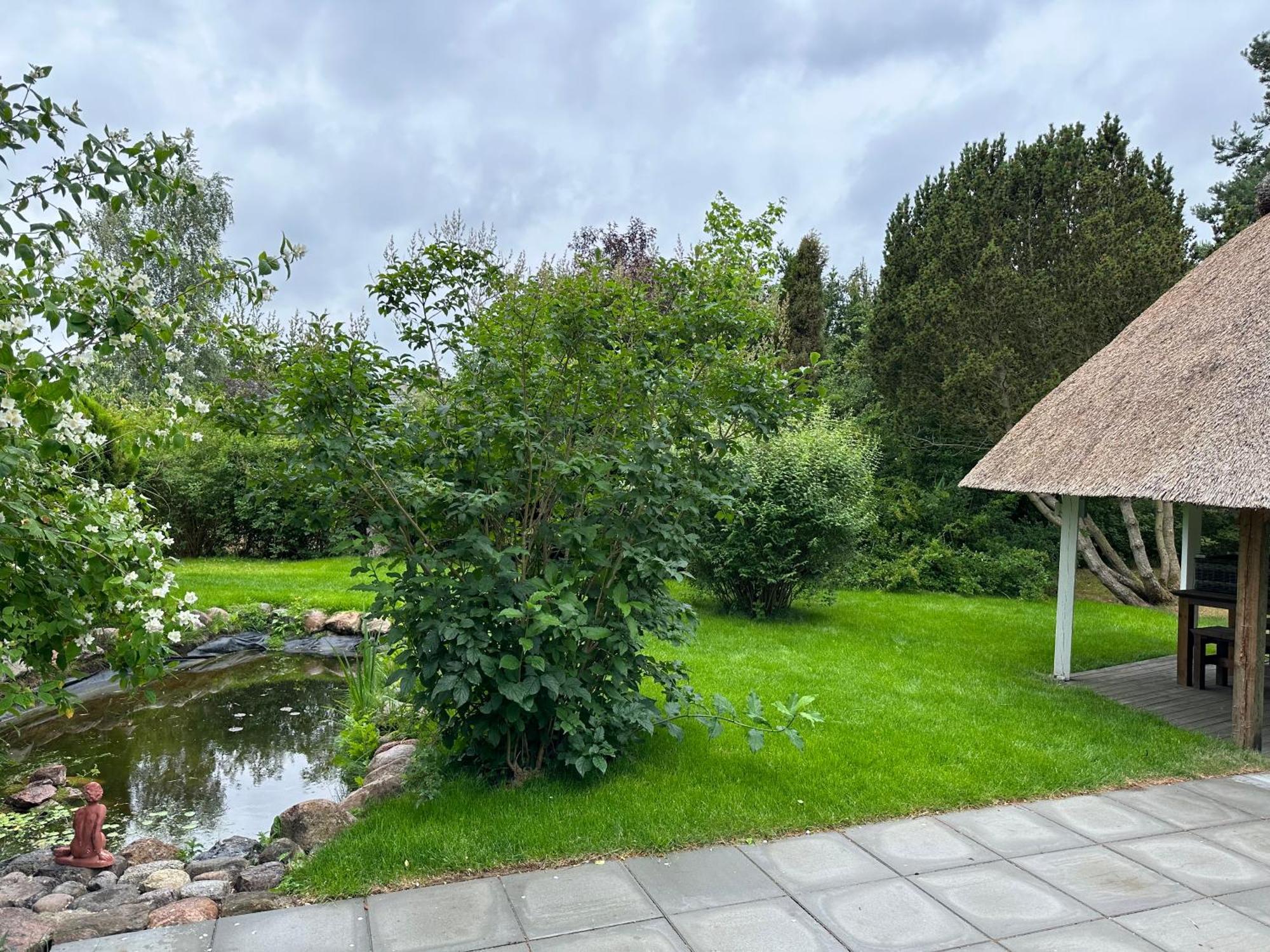 Landhaus Darss Wieck Exteriér fotografie