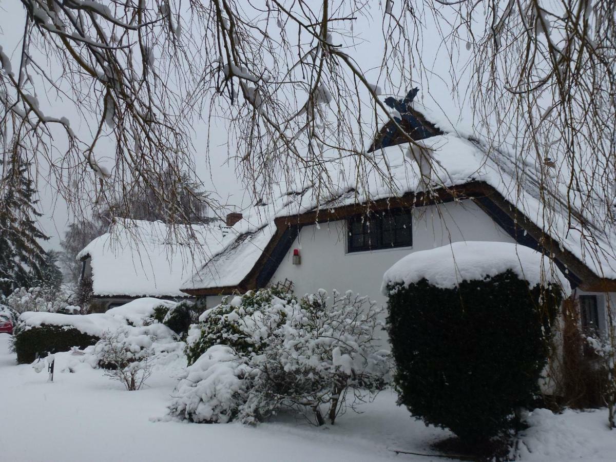 Landhaus Darss Wieck Exteriér fotografie